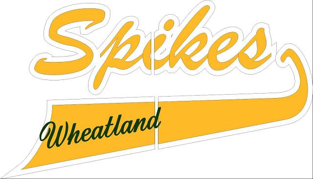 Split Front, Script Tail,spikes,clipart,lineart,vector clip art,line art,t-shirt,designs,silk,screen,teeshirts,screen-printing,embroidery,logo,mascot,Script tail,ACE Custom Embroidery & Design, Inc.,Naperville,IL,60564